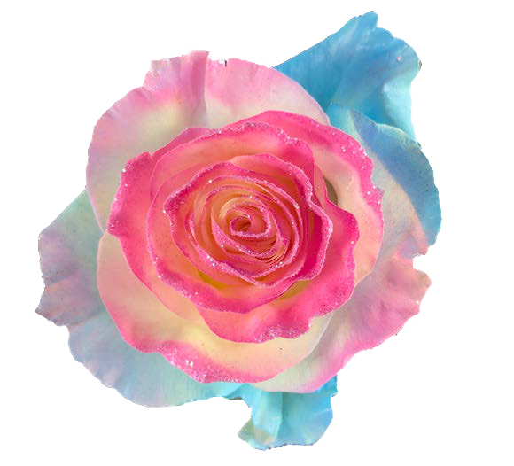 FROZEN Rose