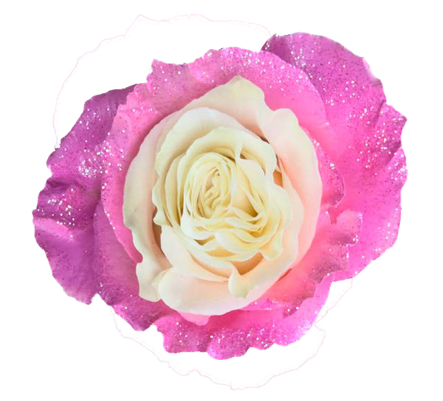 PINK GLITTER Rose