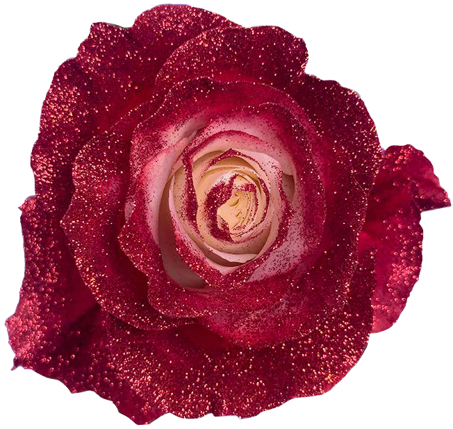 RED WINE GLITTER Rose