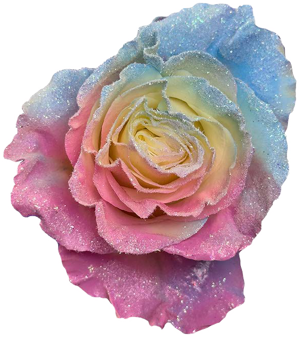 FROSTIN GLITTER PINK Rose