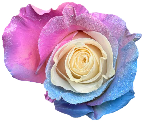 FROSTIN GLITTER BLUE Rose
