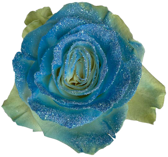 LIGHT BLUE AND YELLOW GLINTTER Rose