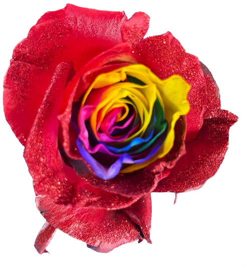 MULTICOLORED GLINTTER Rose